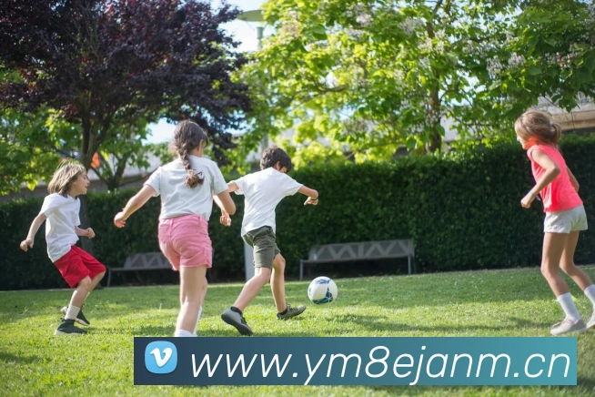 米兰体育在线登录网址APP 封面图